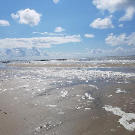 Romantisch Huisje Nabij Het Strand Met Uitzicht Op De Tulpenvelden Julianadorp Dış mekan fotoğraf