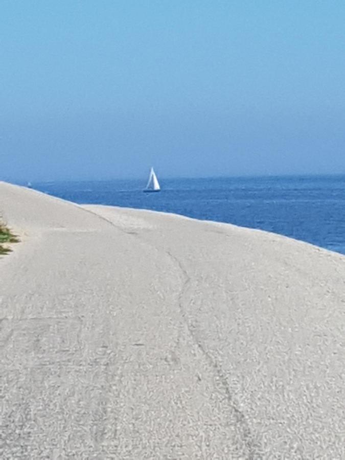 Romantisch Huisje Nabij Het Strand Met Uitzicht Op De Tulpenvelden Julianadorp Dış mekan fotoğraf