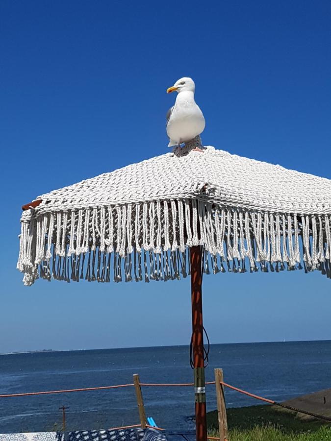Romantisch Huisje Nabij Het Strand Met Uitzicht Op De Tulpenvelden Julianadorp Dış mekan fotoğraf