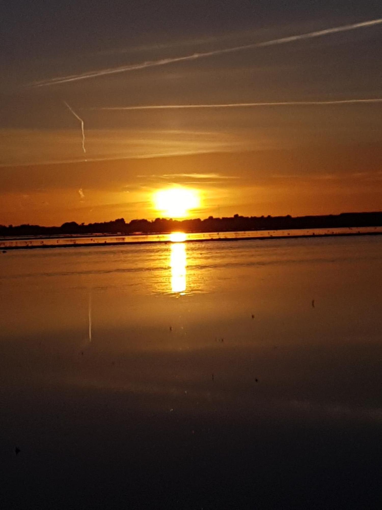 Romantisch Huisje Nabij Het Strand Met Uitzicht Op De Tulpenvelden Julianadorp Dış mekan fotoğraf