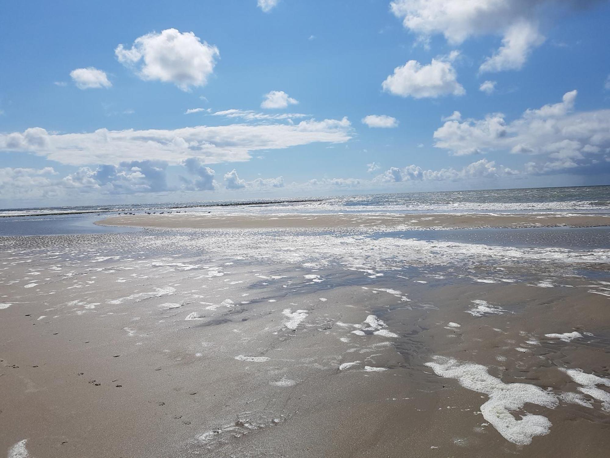 Romantisch Huisje Nabij Het Strand Met Uitzicht Op De Tulpenvelden Julianadorp Dış mekan fotoğraf