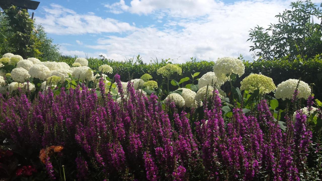 Romantisch Huisje Nabij Het Strand Met Uitzicht Op De Tulpenvelden Julianadorp Dış mekan fotoğraf