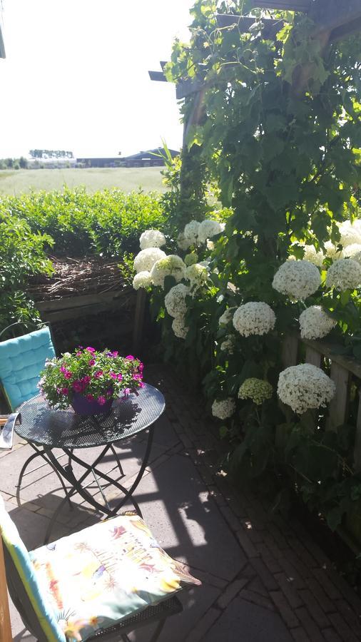 Romantisch Huisje Nabij Het Strand Met Uitzicht Op De Tulpenvelden Julianadorp Dış mekan fotoğraf