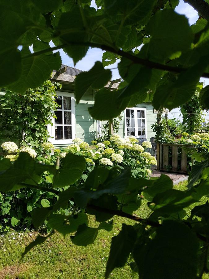 Romantisch Huisje Nabij Het Strand Met Uitzicht Op De Tulpenvelden Julianadorp Dış mekan fotoğraf